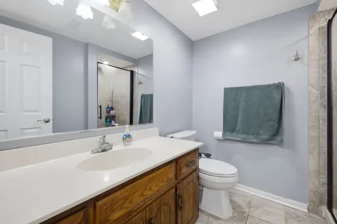 8612 Carriage Lane Tinley Park IL 60487