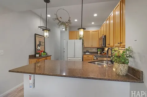 567 Shakespeare Drive Grayslake IL 60030