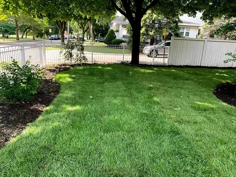 534 Bonnie Brae Place River Forest IL 60305