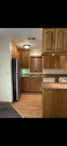 726 West 17th Street Chicago IL 60616