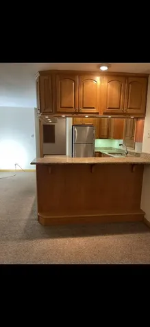 726 West 17th Street Chicago IL 60616
