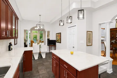 1555 South Paul Le Comte Court Palatine IL 60067