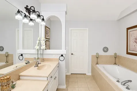 1555 South Paul Le Comte Court Palatine IL 60067