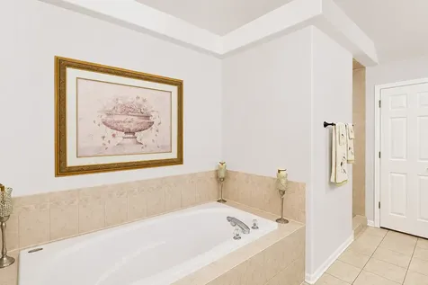 1555 South Paul Le Comte Court Palatine IL 60067
