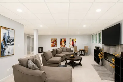 1555 South Paul Le Comte Court Palatine IL 60067