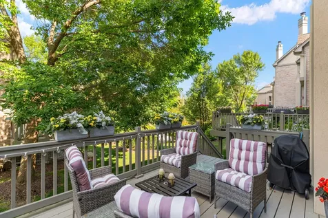 1555 South Paul Le Comte Court Palatine IL 60067