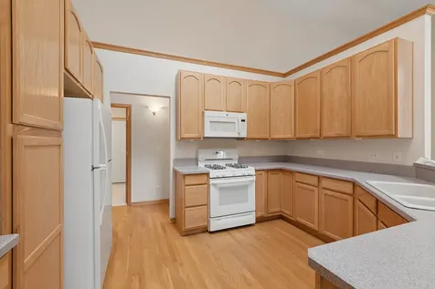 10899 Swallow Tail Lane Frankfort IL 60423