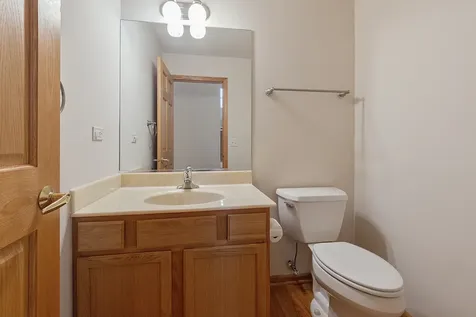10899 Swallow Tail Lane Frankfort IL 60423