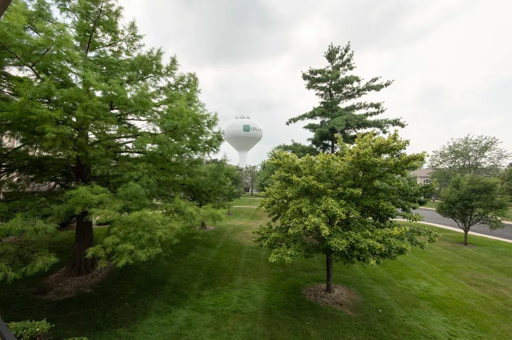 11113 Wisconsin Court Orland Park IL 60467