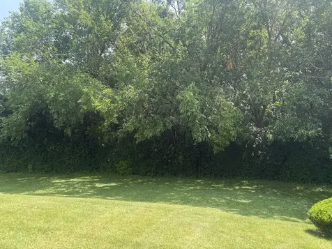 629 Sequoia Lane Flossmoor IL 60422