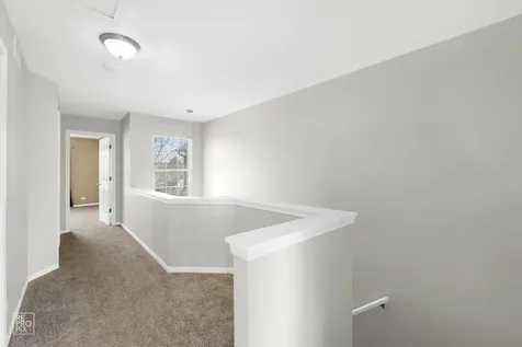 1353 Longchamps Court Grayslake IL 60030