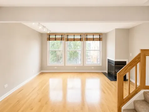 1170 South Plymouth Court Chicago IL 60605