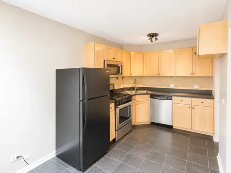 1170 South Plymouth Court Chicago IL 60605