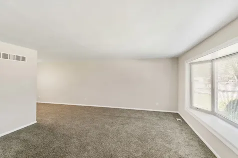 22547 Mission Drive Richton Park IL 60471
