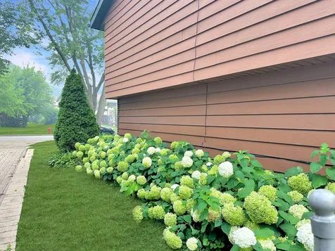 2402 Birch Lane Rolling Meadows IL 60008