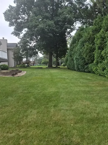 5685 Alma Drive Rockford IL 61108