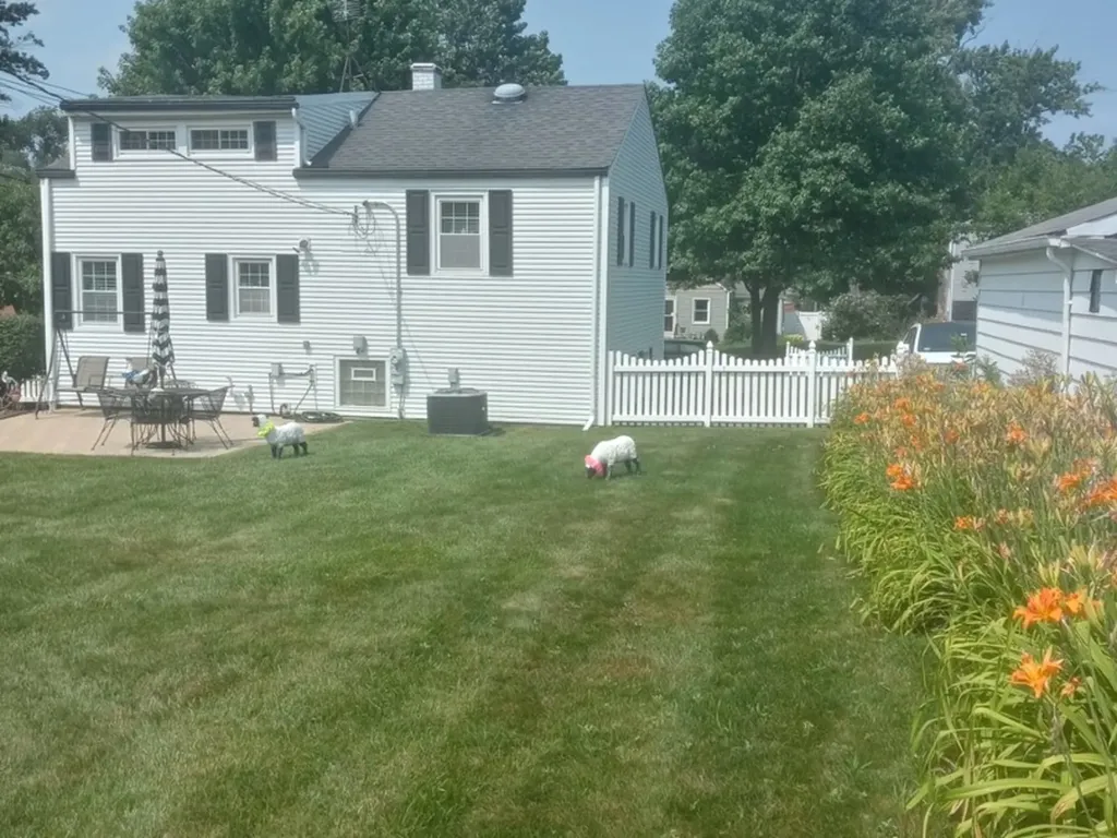 943 South Charlotte Street Lombard IL 60148