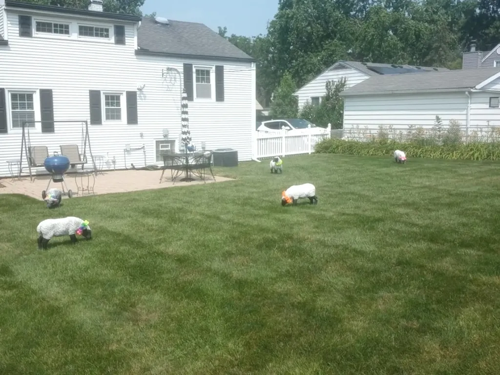 943 South Charlotte Street Lombard IL 60148