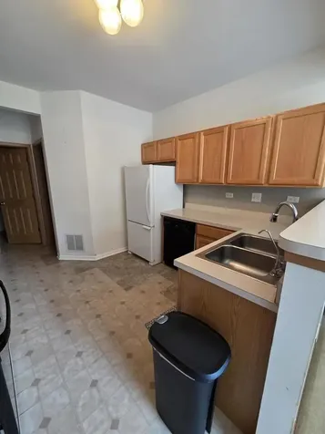 542 Peregrine Parkway Bartlett IL 60103