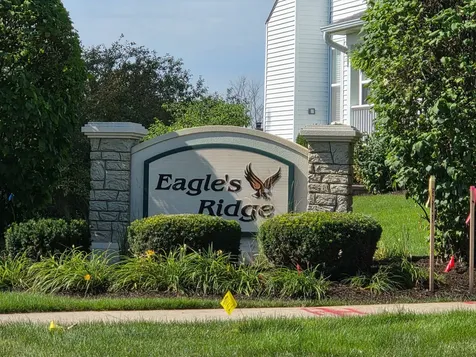 542 Peregrine Parkway Bartlett IL 60103