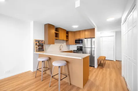 1030 North State Street Chicago IL 60610