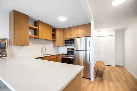 1030 North State Street Chicago IL 60610