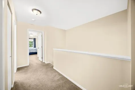 8145 Sierra Woods Lane Carpentersville IL 60110