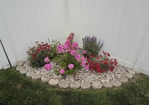 602 Suzanne Avenue Bradley IL 60915