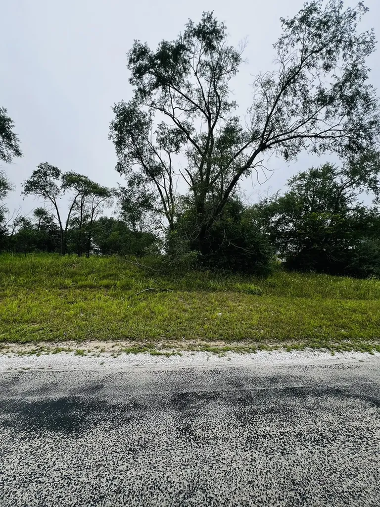 4706 13000 Road Pembroke Twp IL 60958