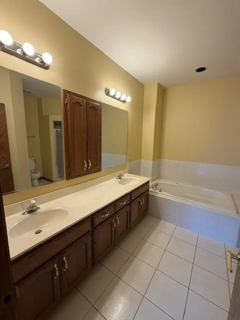 10822 Valerie Court Orland Park IL 60467