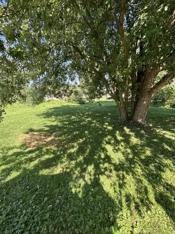 506 Paddock Avenue Ashton IL 61006