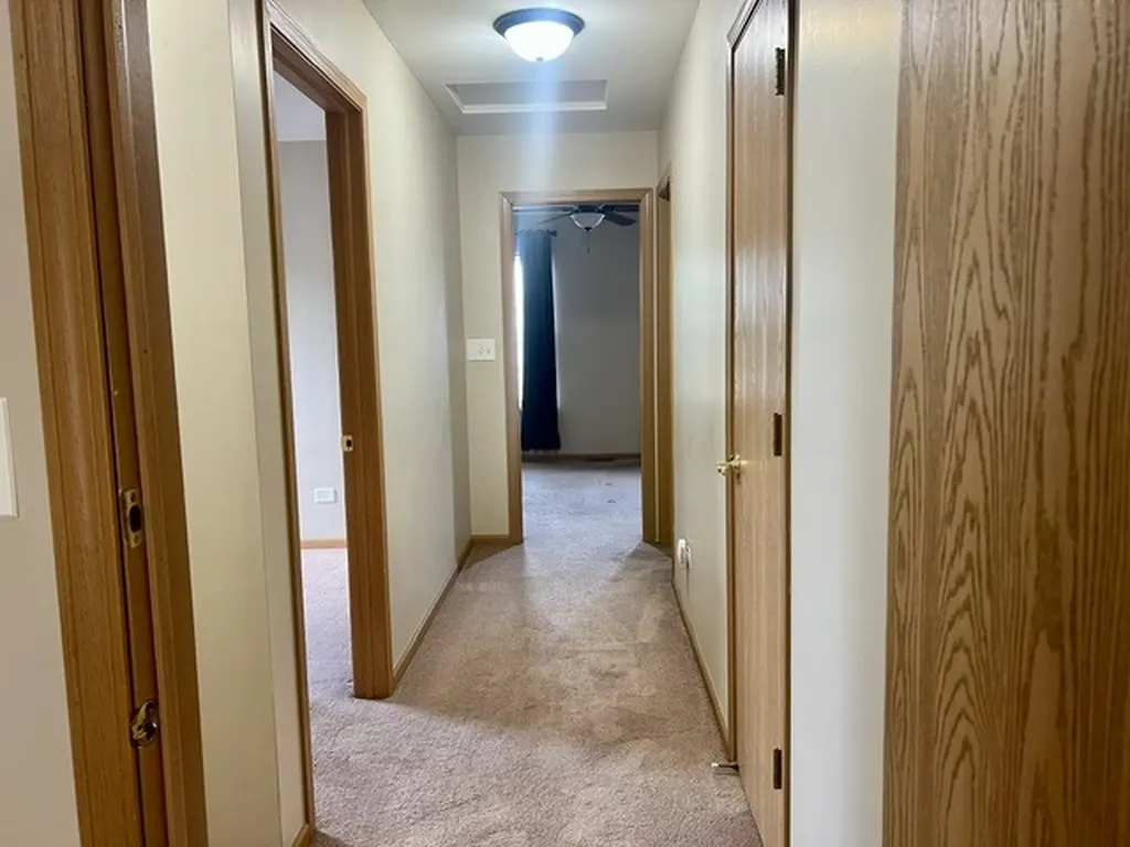 2213 Carpenter Avenue Plainfield IL 60586