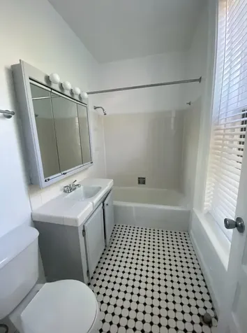 2719 North Pine Grove Avenue Chicago IL 60614