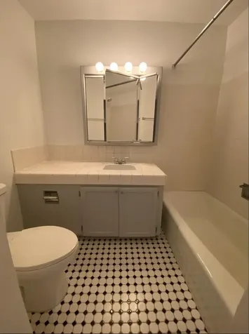 2719 North Pine Grove Avenue Chicago IL 60614