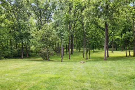 16261 West Ridgewood Drive Homer Glen IL 60491