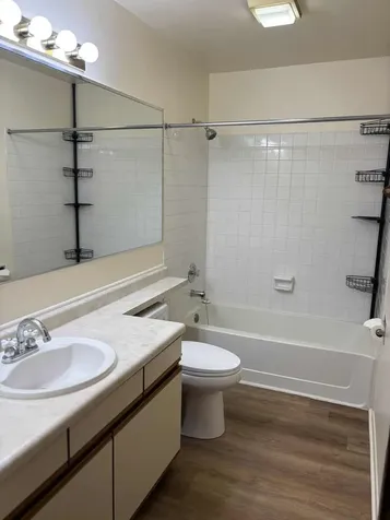 321 Charlotte Court Schaumburg IL 60193