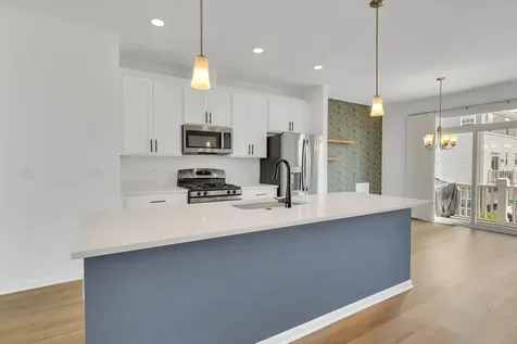 1078 Bogart Street Des Plaines IL 60018
