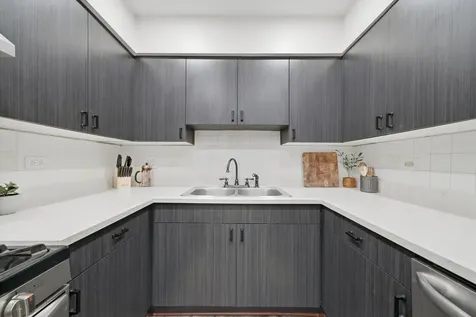 1311 North Baldwin Court Palatine IL 60074