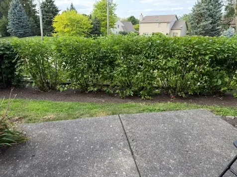 14 Dellwood Court Algonquin IL 60102