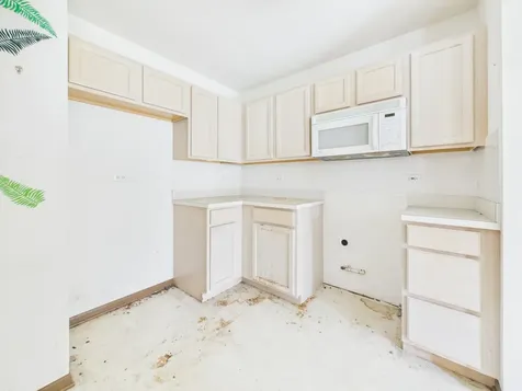 13834 South Bristlecone Drive Plainfield IL 60544