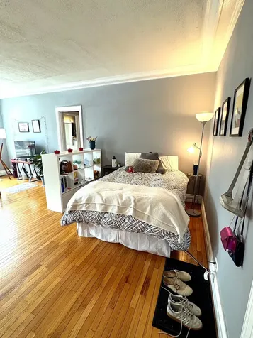 1255 North State Parkway Chicago IL 60610
