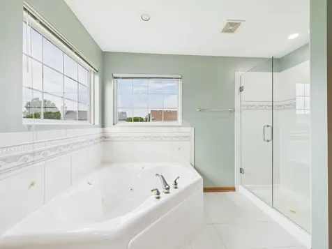 247 Alyssum Court Romeoville IL 60446