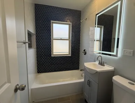 8117 South Michigan Avenue Chicago IL 60619