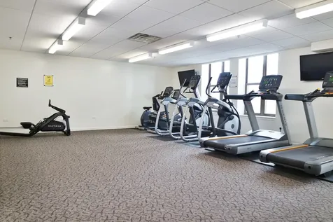 1250 South Indiana Avenue Chicago IL 60605