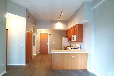 1250 South Indiana Avenue Chicago IL 60605
