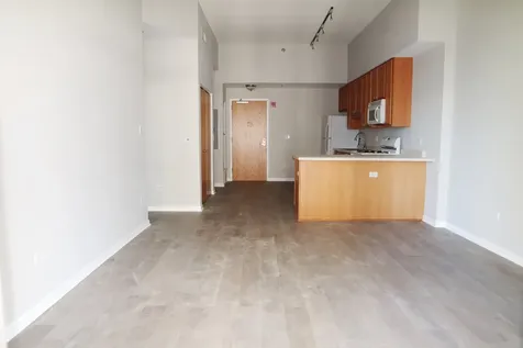 1250 South Indiana Avenue Chicago IL 60605