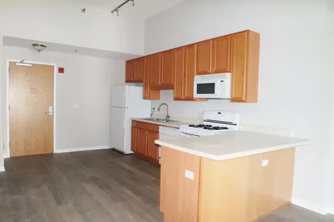 1250 South Indiana Avenue Chicago IL 60605