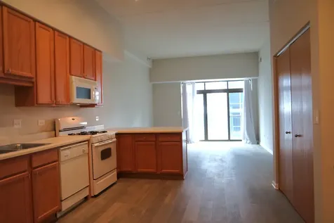1250 South Indiana Avenue Chicago IL 60605