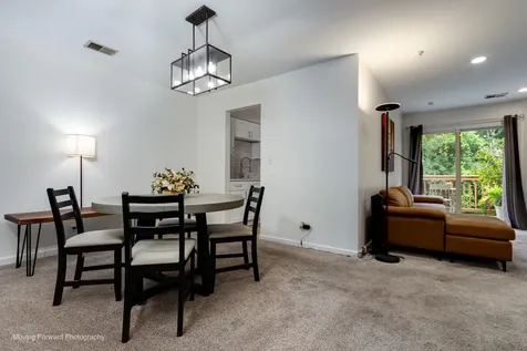 16 West Fern Court Palatine IL 60067