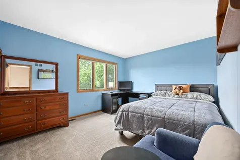 234 Grant Avenue Frankfort IL 60423